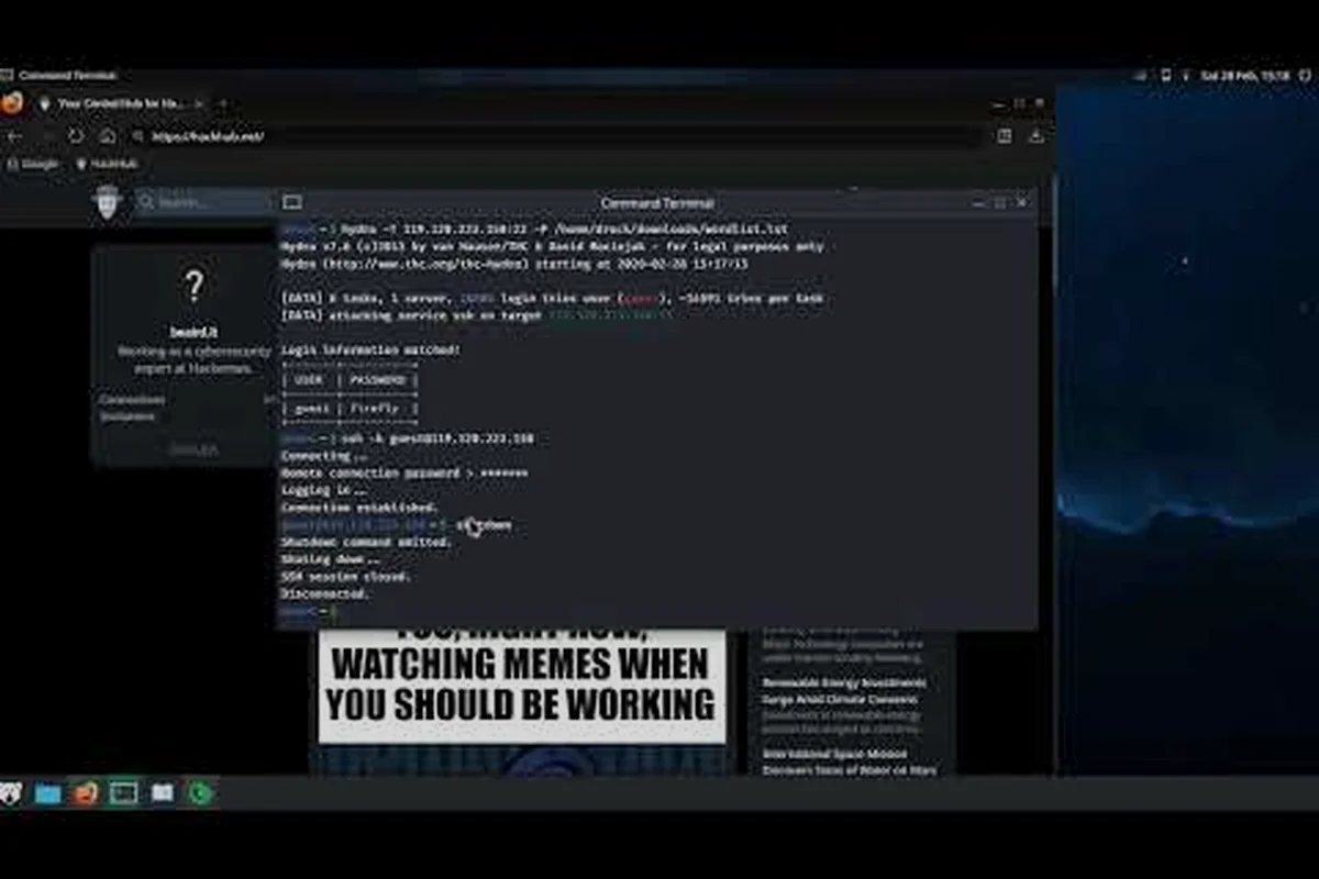 HackHub Firewall Bypass: Complete Network Hacking Guide